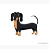 flat750x075f pad750x1000f8f8f8.u2 22 - Dachshund UK Store
