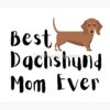 flat750x075f pad750x1000f8f8f8.u2 24 - Dachshund UK Store