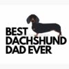 flat750x075f pad750x1000f8f8f8.u2 3 - Dachshund UK Store