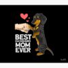 flat750x075f pad750x1000f8f8f8.u2 30 - Dachshund UK Store