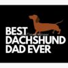flat750x075f pad750x1000f8f8f8.u2 5 - Dachshund UK Store