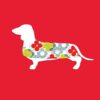 flat750x075f pad750x750f8f8f8 16 - Dachshund UK Store
