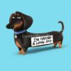 flat750x075f pad750x750f8f8f8 2 - Dachshund UK Store