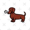 flat750x075f pad750x750f8f8f8 7 - Dachshund UK Store