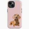 icriphone 14 toughbackax1000 pad1000x1000f8f8f8.u21 2 - Dachshund UK Store