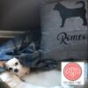 il 1000xN.2269371072 pifi - Dachshund UK Store