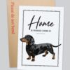 il 1000xN.4156090334 3e2n - Dachshund UK Store