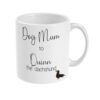 il 1000xN.4235096639 r9an - Dachshund UK Store