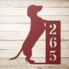 il 1000xN.4460453799 av0u - Dachshund UK Store