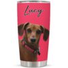 il 1000xN.4500930993 ri5u - Dachshund UK Store