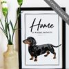 il 1000xN.4519415670 50qp - Dachshund UK Store