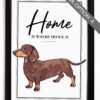 il 1000xN.4519415728 1qyw - Dachshund UK Store