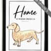il 1000xN.4519415734 5dih - Dachshund UK Store