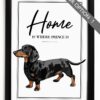 il 1000xN.4566800851 6pvf - Dachshund UK Store
