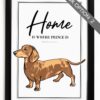 il 1000xN.4566800865 cm9m - Dachshund UK Store