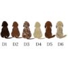 il 1000xN.4695182775 p690 - Dachshund UK Store