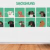 il 1000xN.4936225359 q2wv - Dachshund UK Store