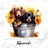 il 1000xN.5248324366 6bup - Dachshund UK Store
