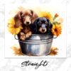 il 1000xN.5248324406 3c8s - Dachshund UK Store