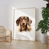 il 1000xN.5493512946 6vif - Dachshund UK Store