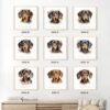 il 1000xN.5539078462 7go6 - Dachshund UK Store