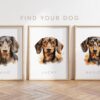 il 1000xN.5541620453 g79c - Dachshund UK Store