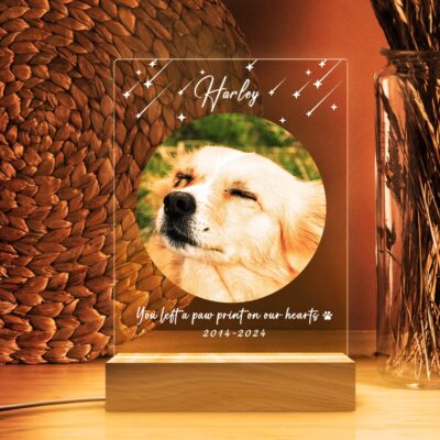 il 1000xN.5709765132 mdhe - Dachshund UK Store