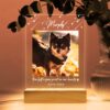 il 1000xN.5709765136 jh3i - Dachshund UK Store