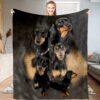 il 1000xN.5725448061 jhqw - Dachshund UK Store