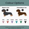 il 1000xN.5750349526 k82h - Dachshund UK Store