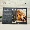 il 1000xN.5780978106 sph2 - Dachshund UK Store