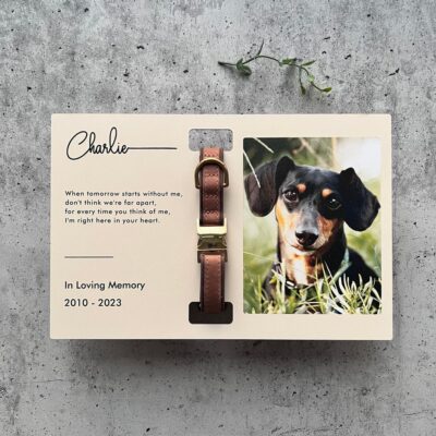il 1000xN.6066809095 t0e2 - Dachshund UK Store