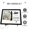 il 1000xN.6079658032 gfgw - Dachshund UK Store