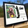 il 1000xN.6127721503 322u - Dachshund UK Store