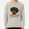 ssrcolightweight sweatshirtmensoatmeal heatherfrontsquare productx1000 bgf8f8f8 24 - Dachshund UK Store